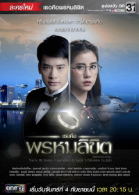 Phim Em là định mệnh của anh - You are My Destiny (2014)